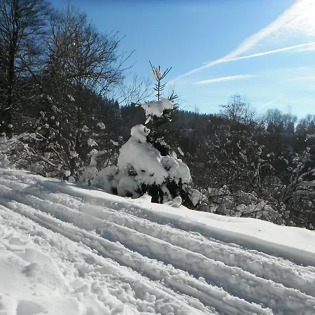 Schroeder فندق Losheimergraben